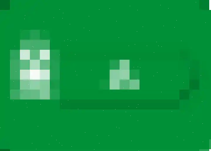 Stelmaker 21 Peize thumbnail 44