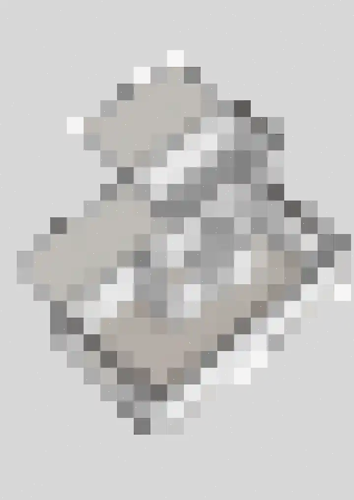 Stelmaker 21 Peize thumbnail 47