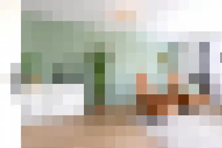 Stelmaker 21 Peize thumbnail 5