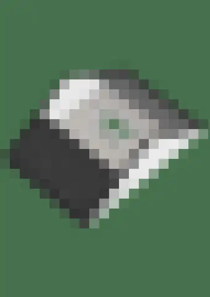 Stelmaker 21 Peize thumbnail 51