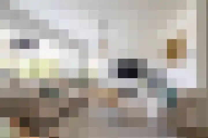 Stelmaker 21 Peize thumbnail 7