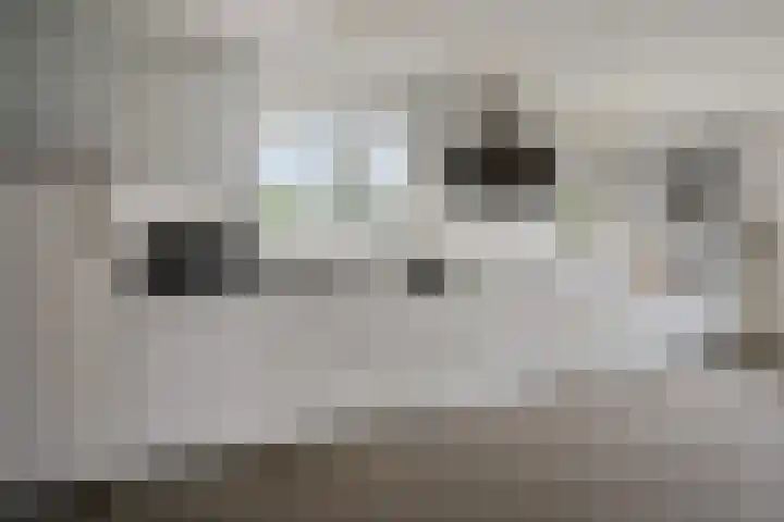 Stelmaker 30 Stadskanaal thumbnail 12