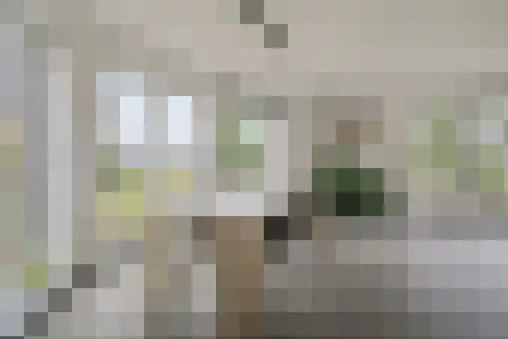 Stelmaker 30 Stadskanaal thumbnail 15