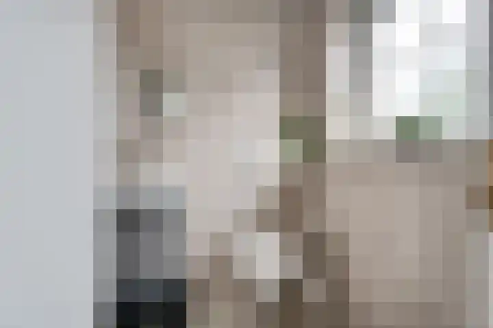 Stelmaker 30 Stadskanaal thumbnail 38