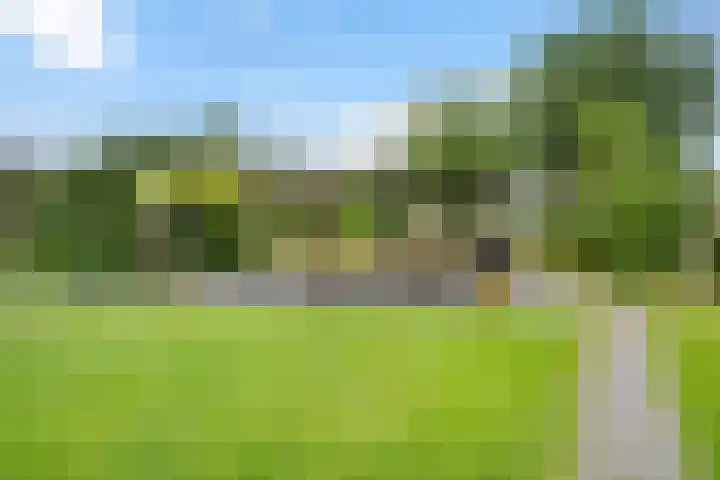 Stelmaker 30 Stadskanaal thumbnail 4