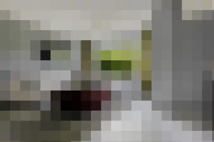 Stelmaker 35 Peize thumbnail 10