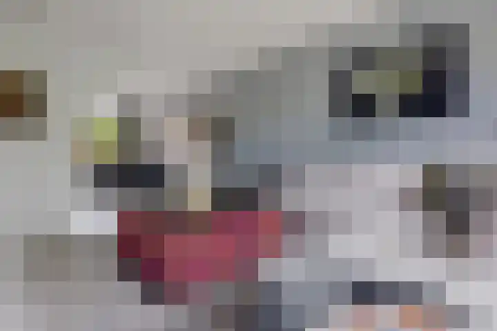 Stelmaker 35 Peize thumbnail 11