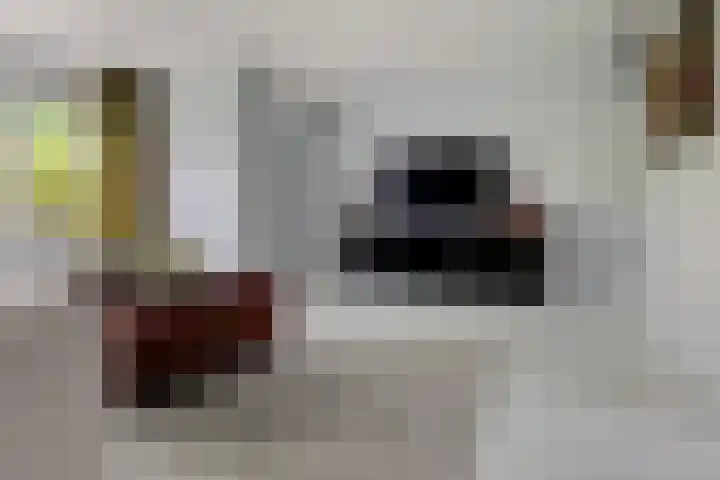 Stelmaker 35 Peize thumbnail 12