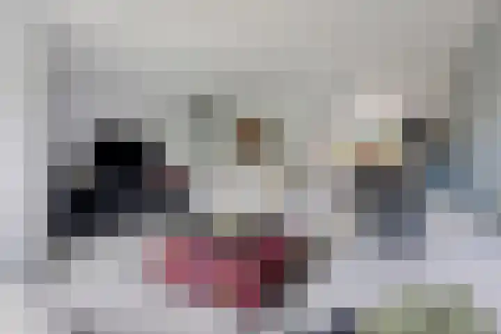 Stelmaker 35 Peize thumbnail 13