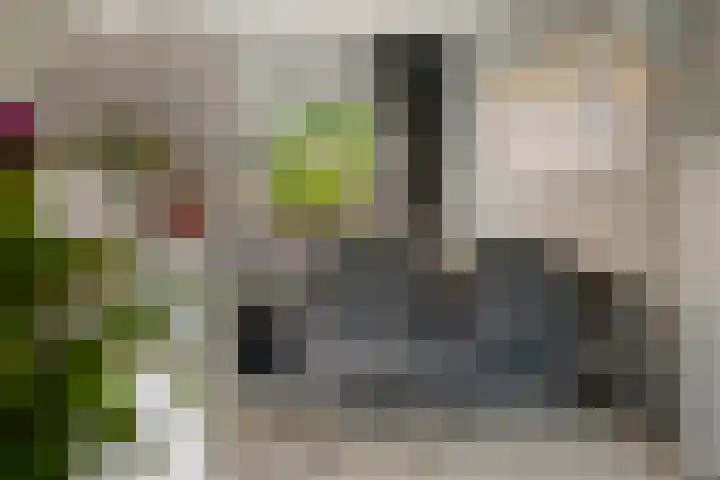Stelmaker 35 Peize thumbnail 14