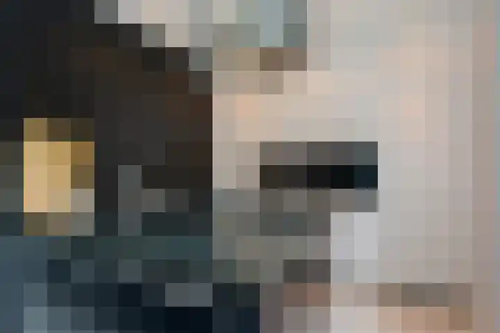 Stelmaker 35 Peize thumbnail 15