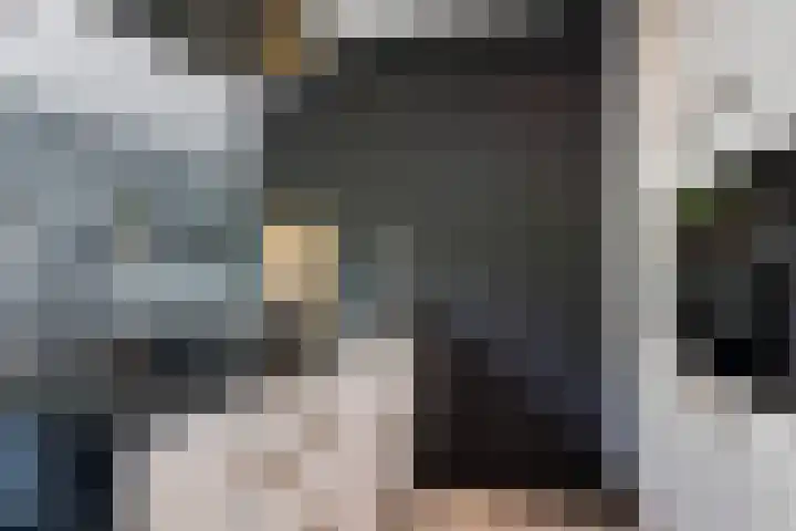 Stelmaker 35 Peize thumbnail 16