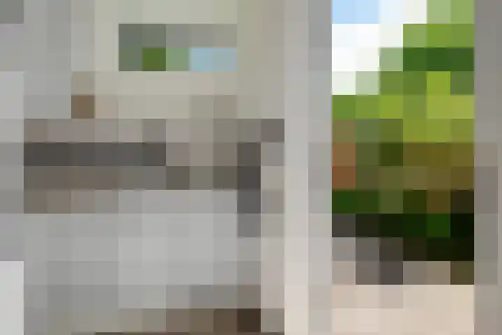 Stelmaker 35 Peize thumbnail 19