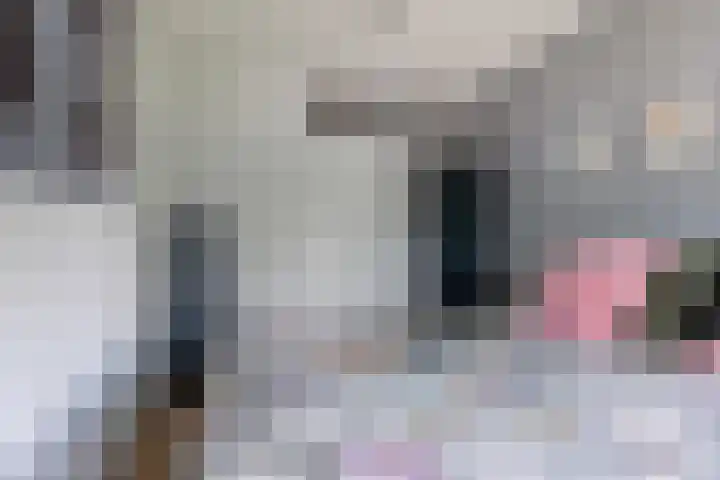 Stelmaker 35 Peize thumbnail 22