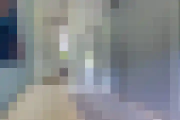 Stelmaker 35 Peize thumbnail 24