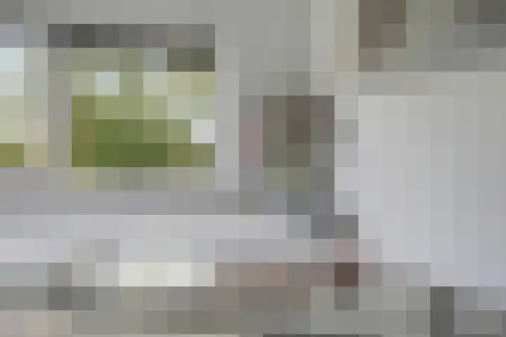 Stelmaker 35 Peize thumbnail 25