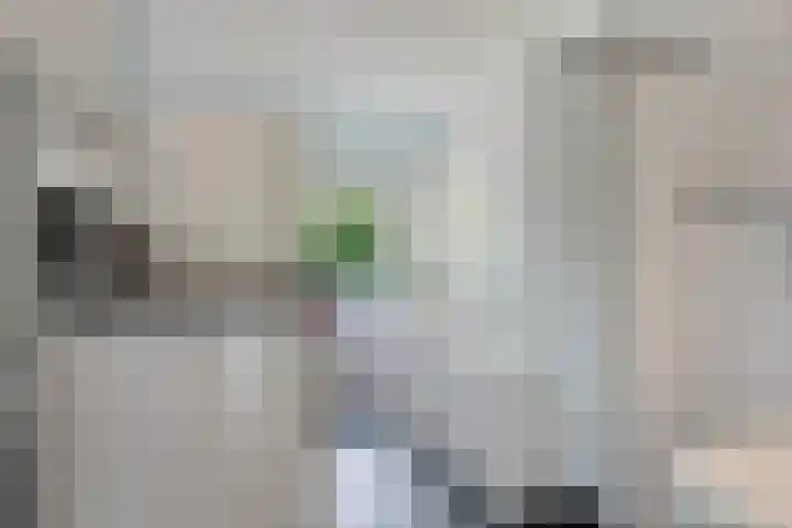 Stelmaker 35 Peize thumbnail 29