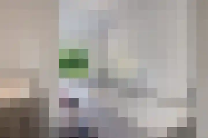 Stelmaker 35 Peize thumbnail 30