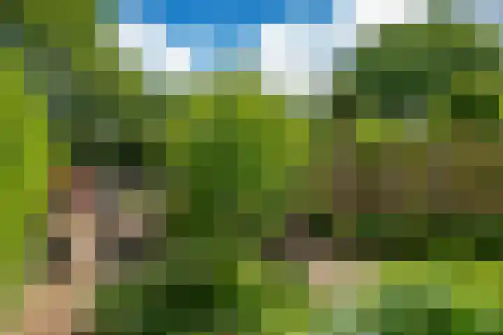 Stelmaker 35 Peize thumbnail 32