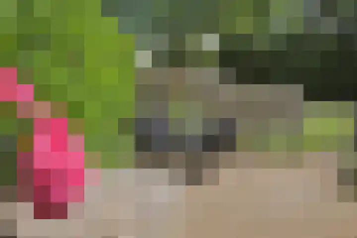 Stelmaker 35 Peize thumbnail 34