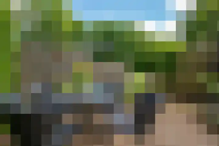 Stelmaker 35 Peize thumbnail 35