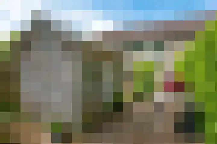 Stelmaker 35 Peize thumbnail 36