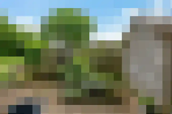 Stelmaker 35 Peize thumbnail 37