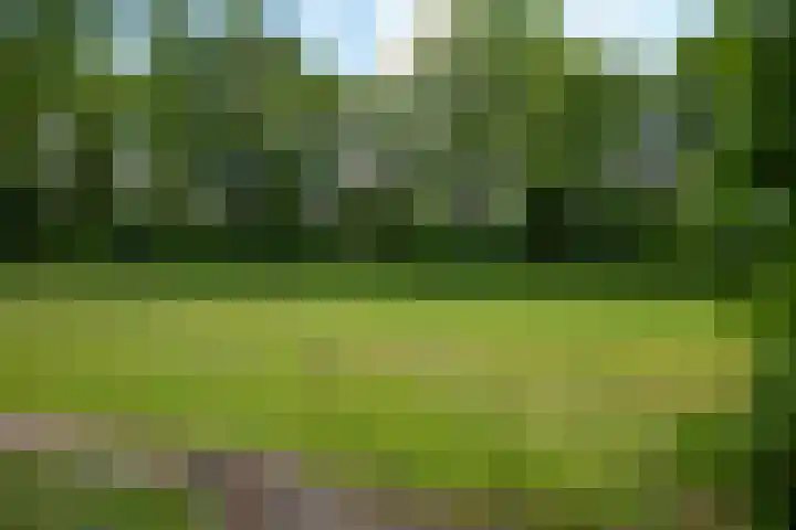 Stelmaker 35 Peize thumbnail 38