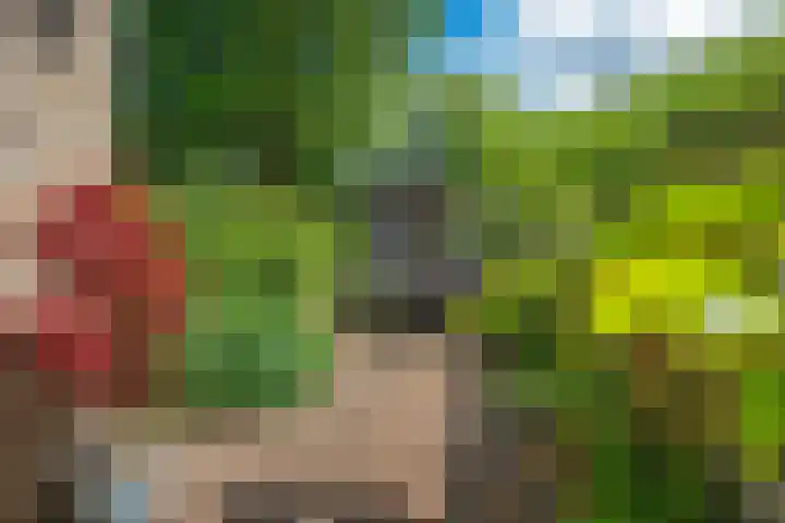 Stelmaker 35 Peize thumbnail 4