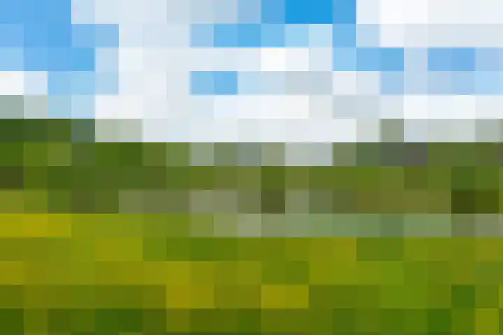Stelmaker 35 Peize thumbnail 41
