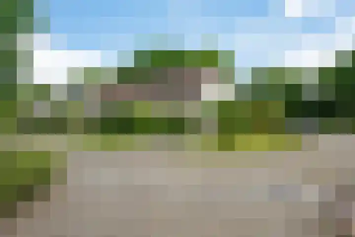 Stelmaker 35 Peize thumbnail 44