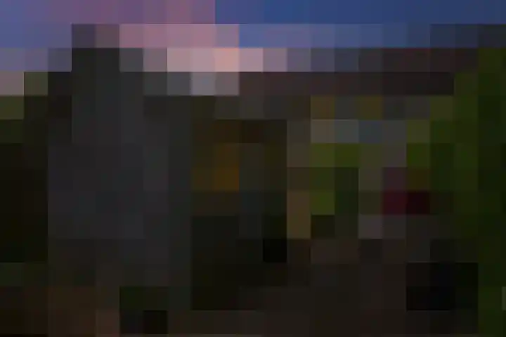 Stelmaker 35 Peize thumbnail 46
