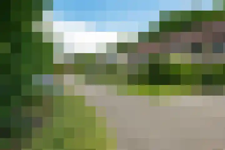 Stelmaker 35 Peize thumbnail 5