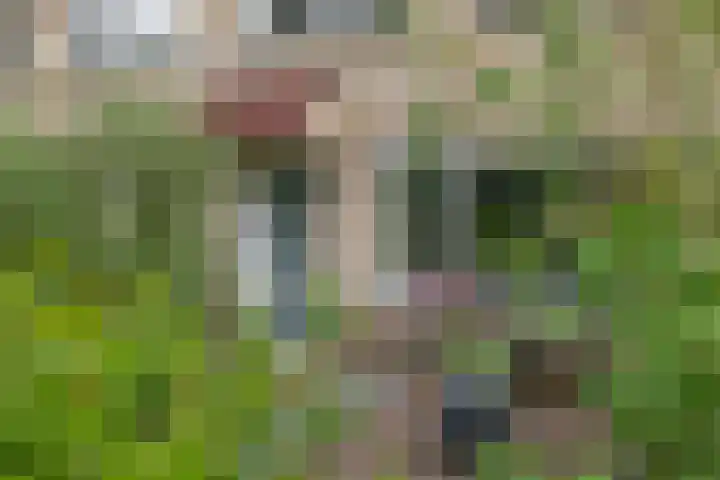 Stelmaker 35 Peize thumbnail 6