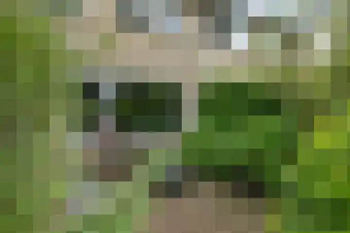 Stelmaker 35 Peize thumbnail 7