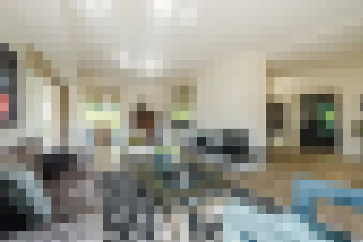 Stelt 2 Eersel thumbnail 13