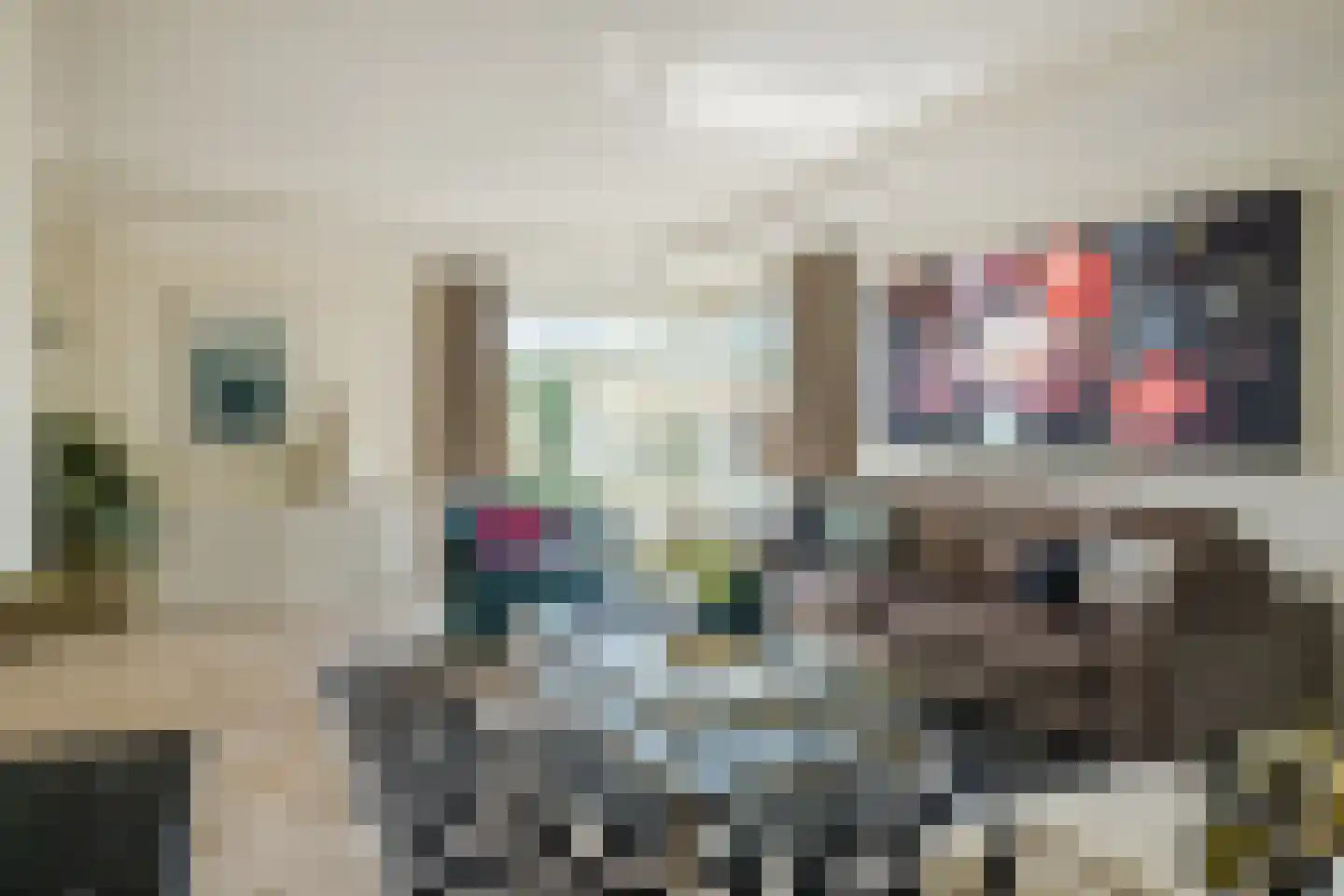 Stelt 2 Eersel thumbnail 14