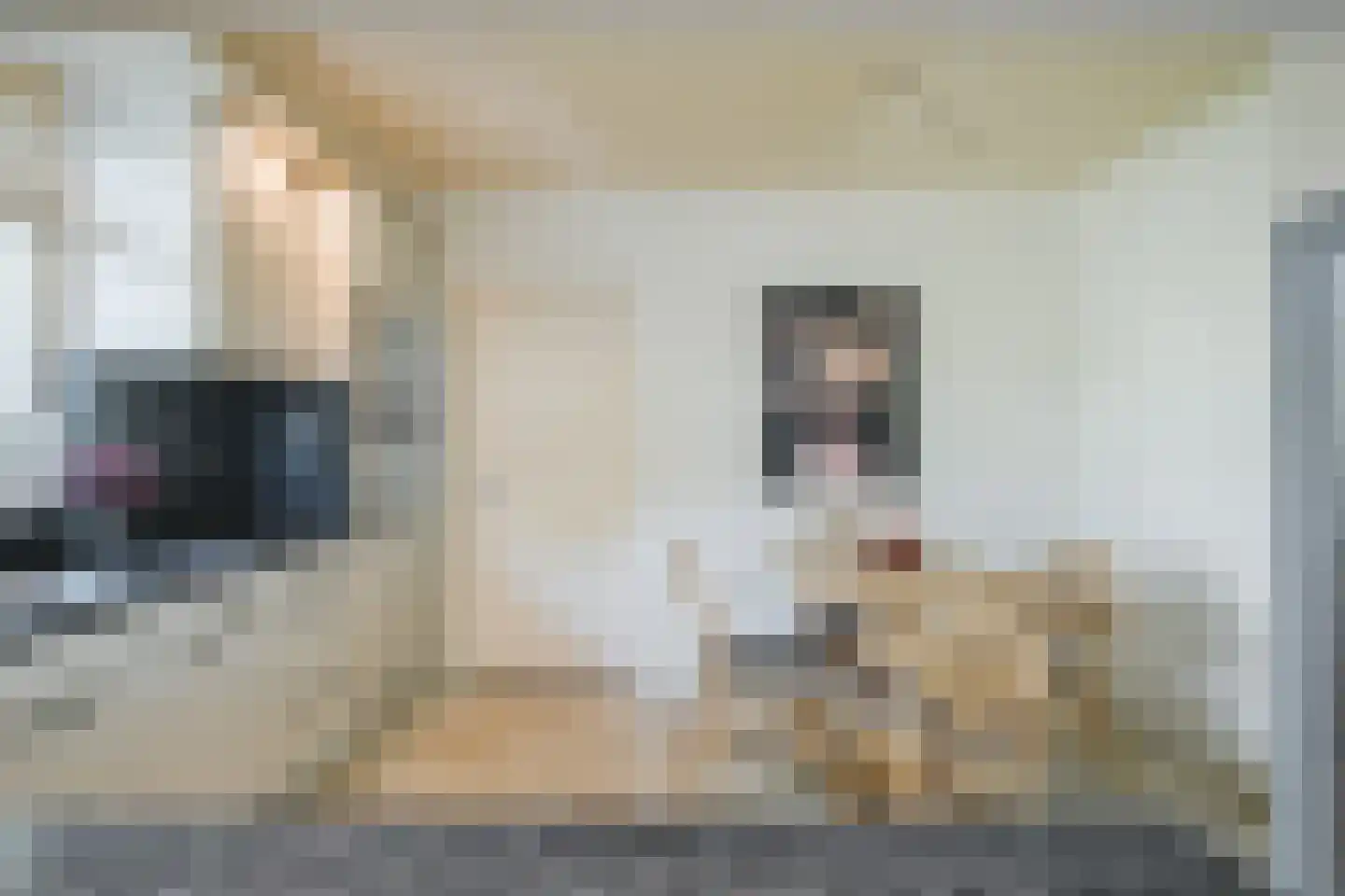 Stelt 2 Eersel thumbnail 21