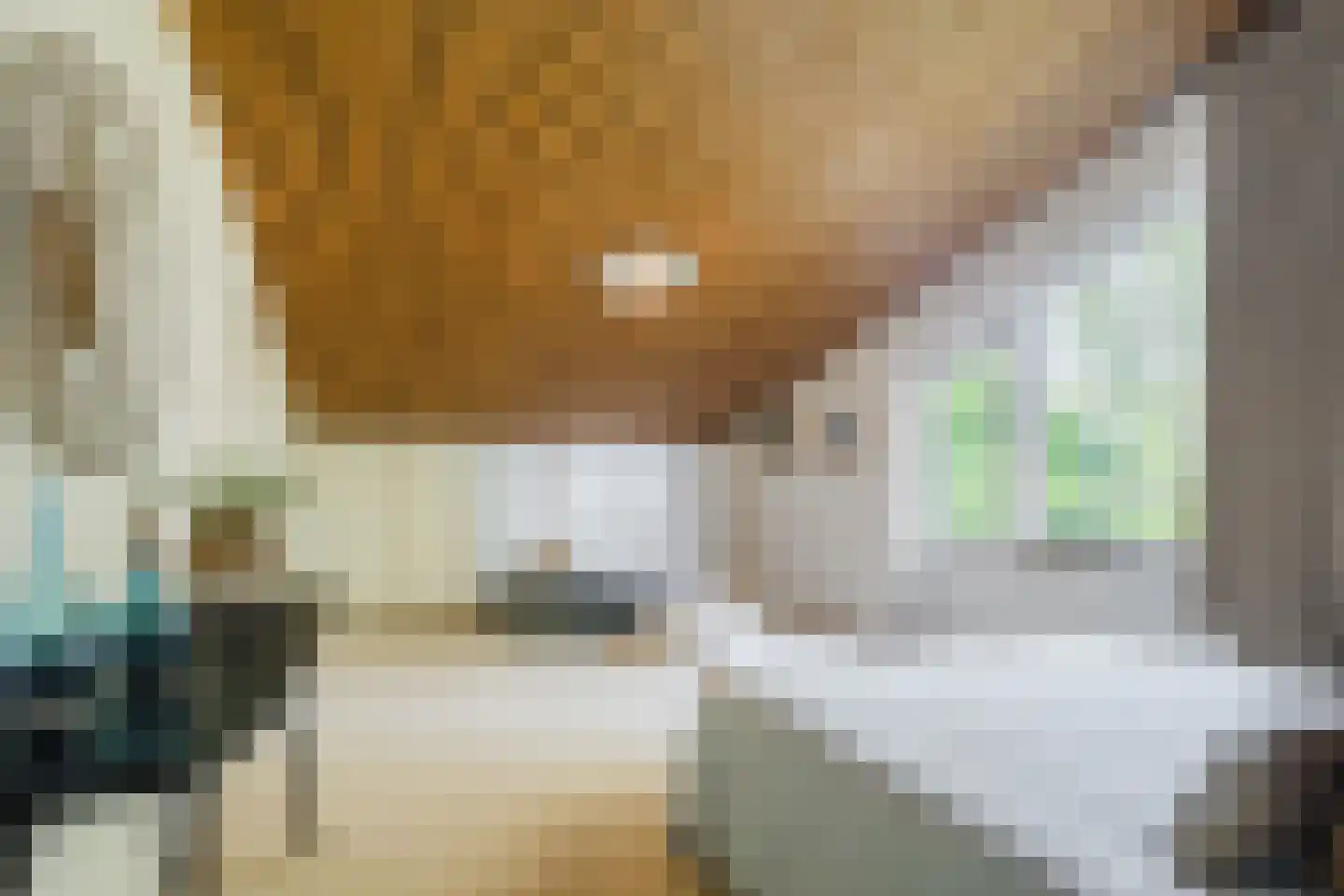 Stelt 2 Eersel thumbnail 26