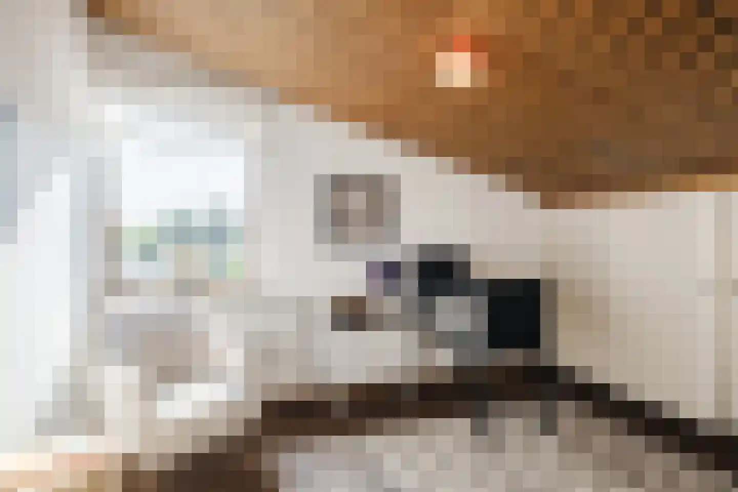 Stelt 2 Eersel thumbnail 38