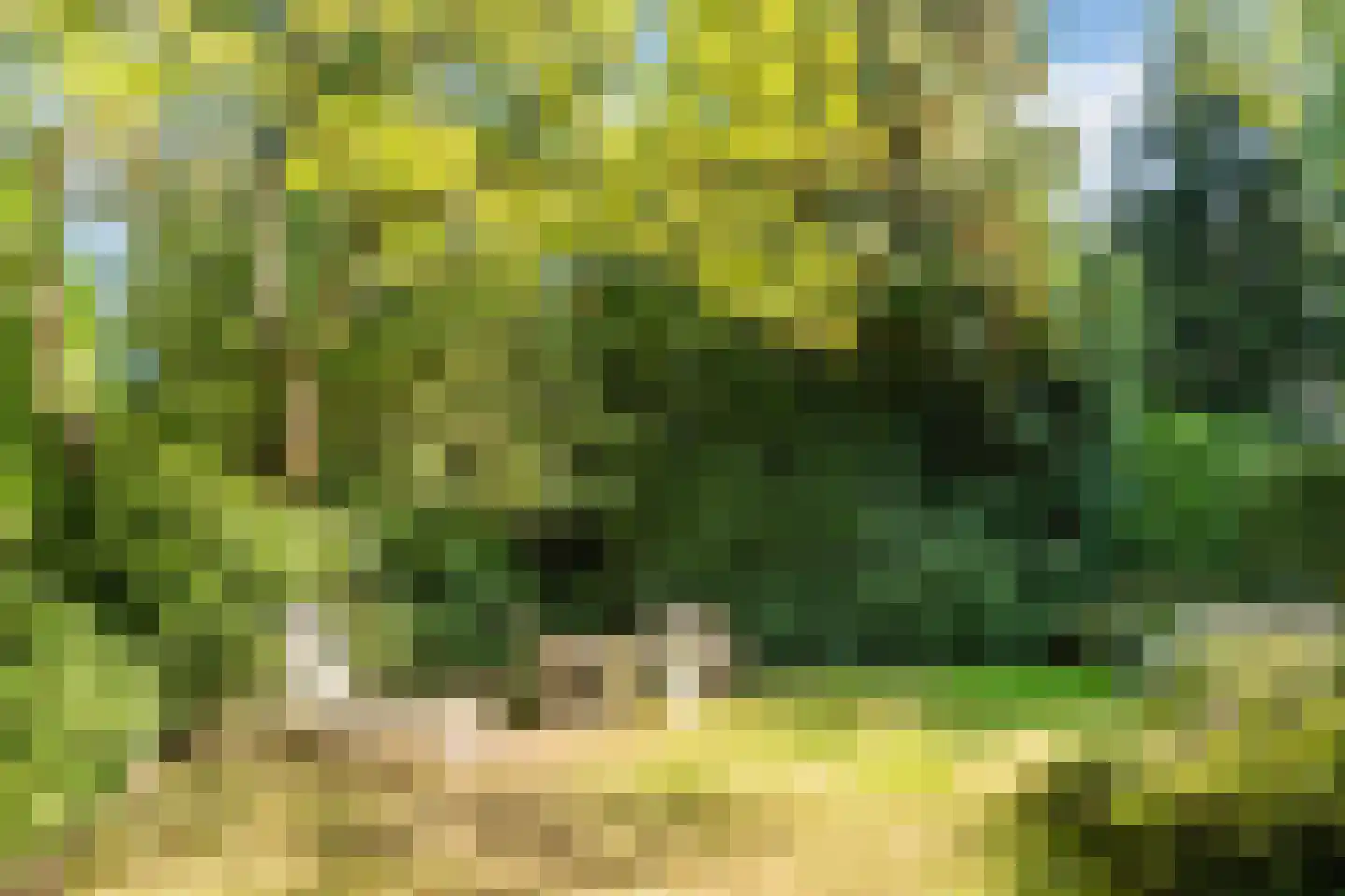 Stelt 2 Eersel thumbnail 4