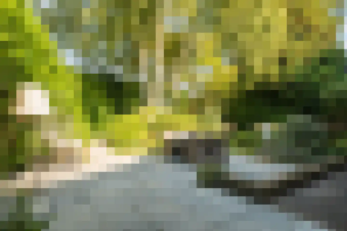 Stelt 2 Eersel thumbnail 46