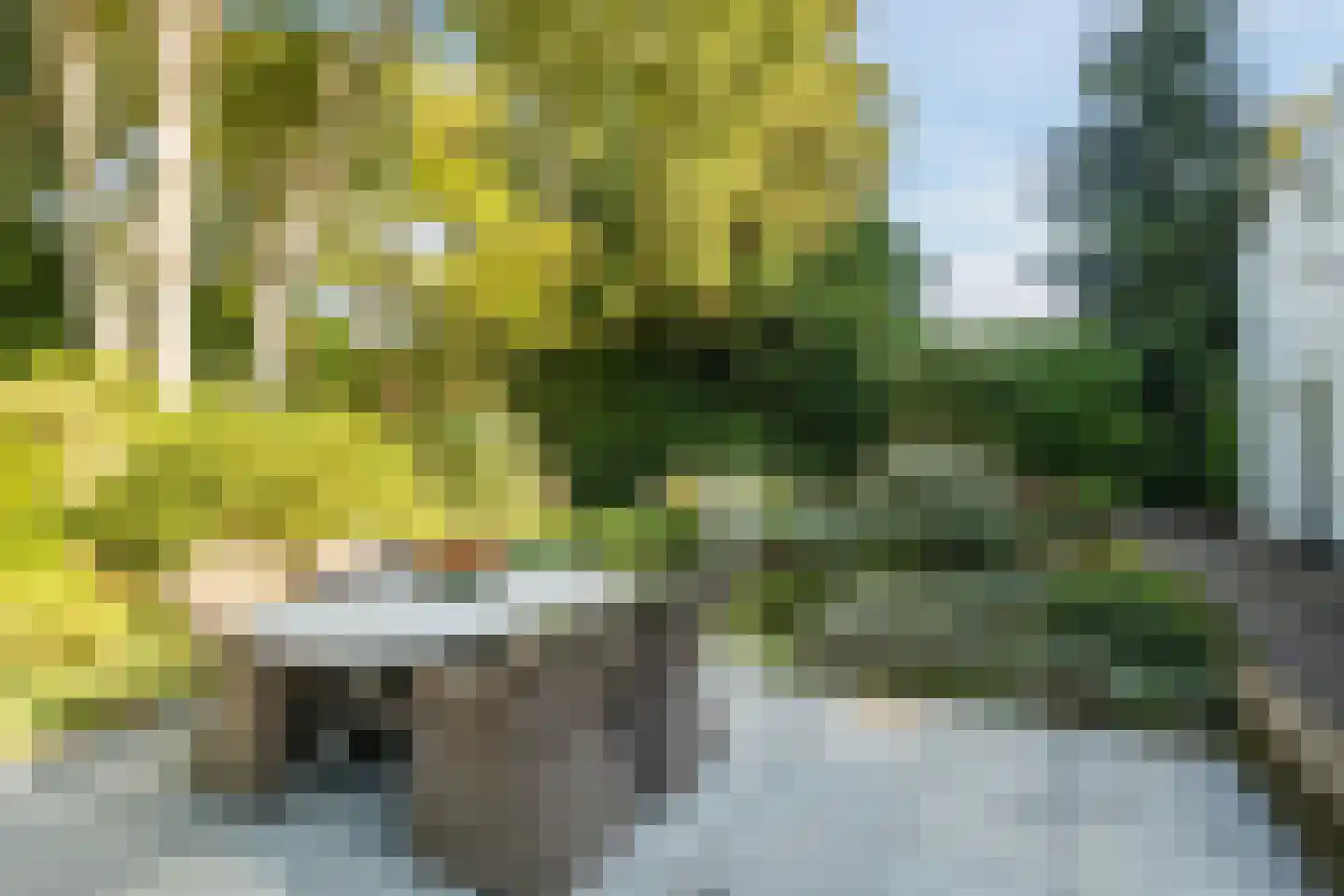 Stelt 2 Eersel thumbnail 47