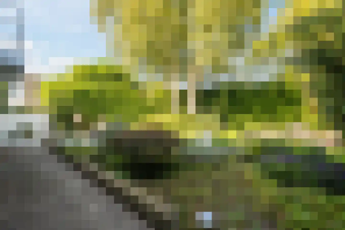 Stelt 2 Eersel thumbnail 48