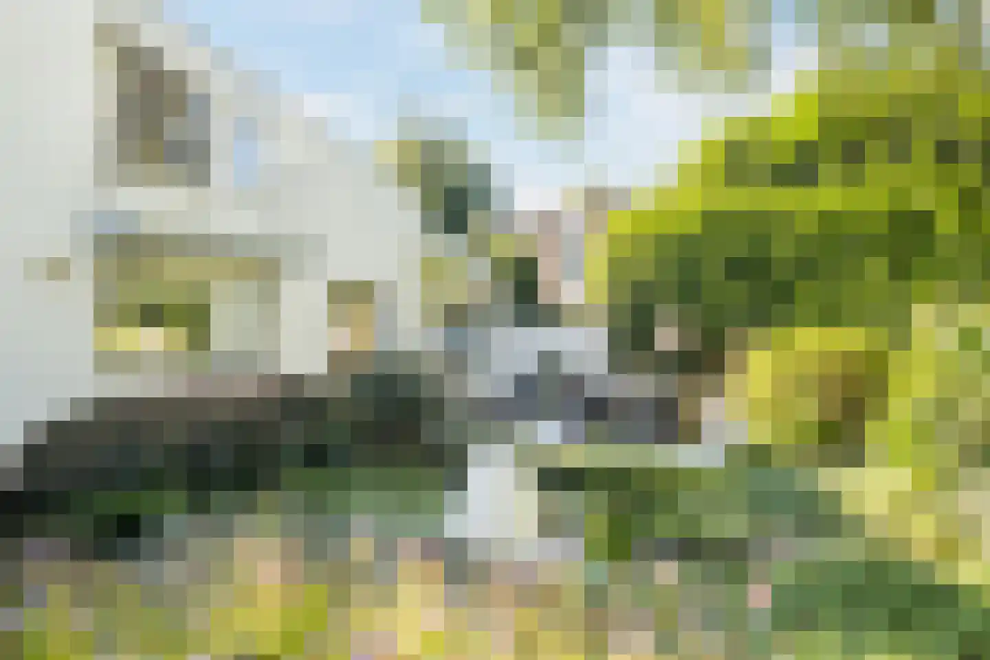Stelt 2 Eersel thumbnail 49