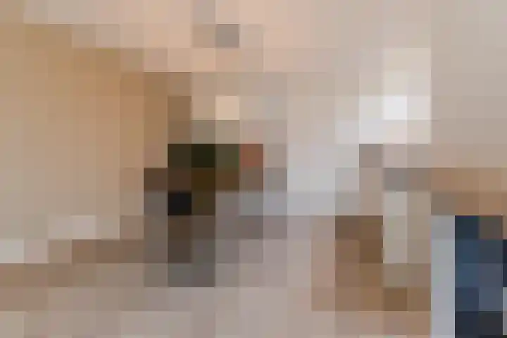 Stelt 21 Eersel thumbnail 19