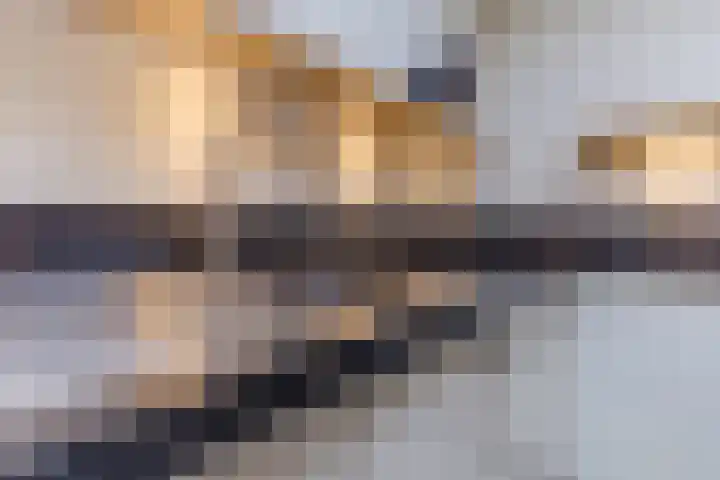 Stelt 21 Eersel thumbnail 24