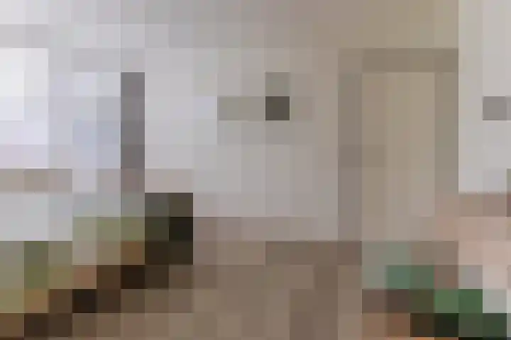 Stelt 21 Eersel thumbnail 27