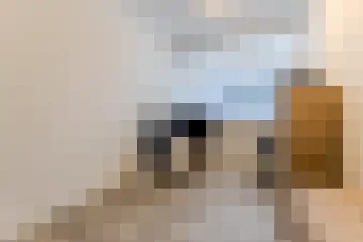 Stelt 21 Eersel thumbnail 29