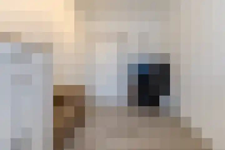 Stelt 21 Eersel thumbnail 30